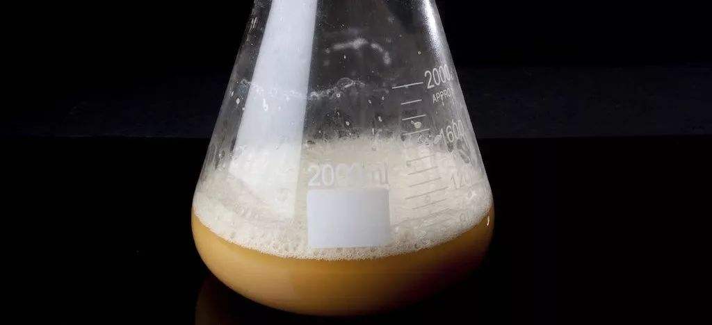 酵母發(fā)酵起泡是怎么回事，怎么處理這些泡沫？